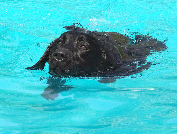 Look, I'm swimming all by myself