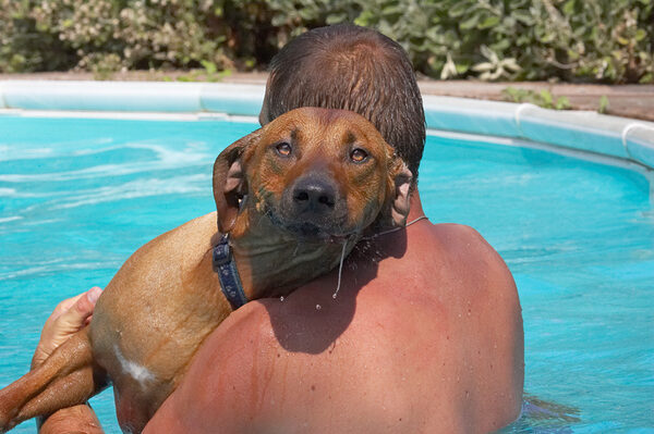 Do you know how deep this water is!