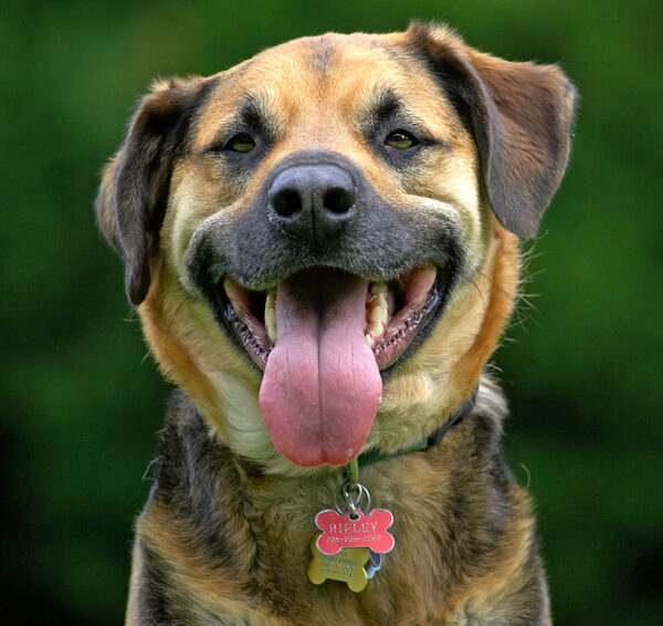 I look handsome too!