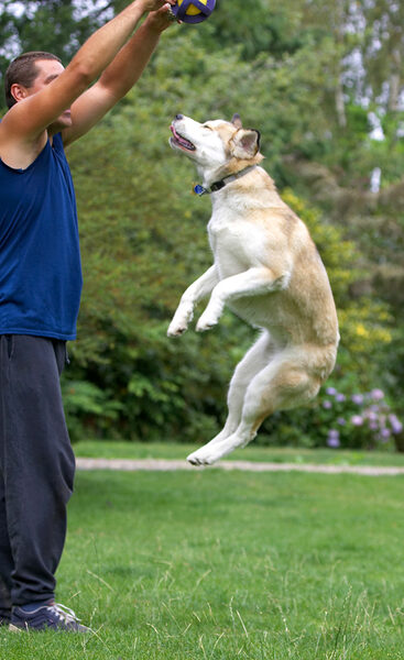 I can get that ball