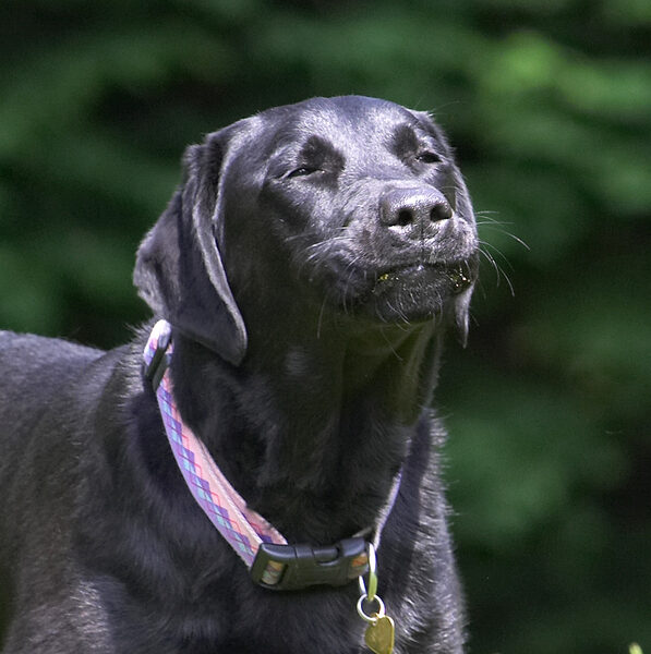 Funny face