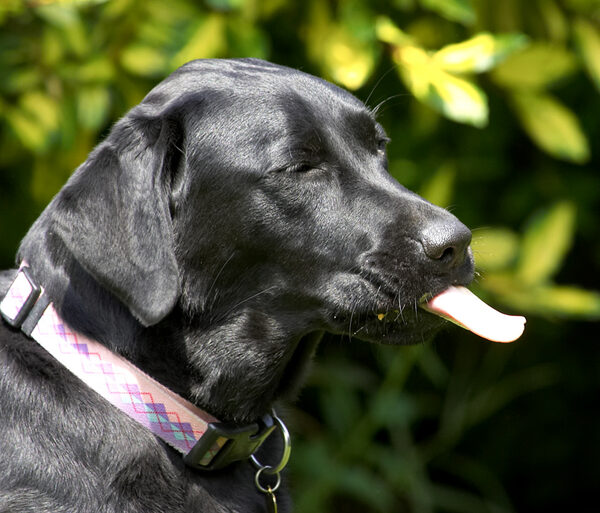 I'm exercising my tongue