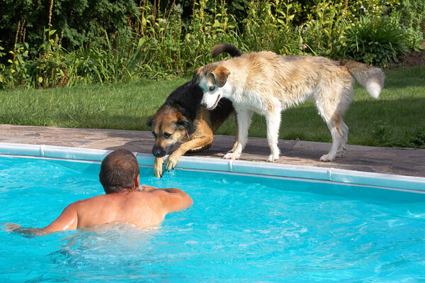 Shall we go in again?
