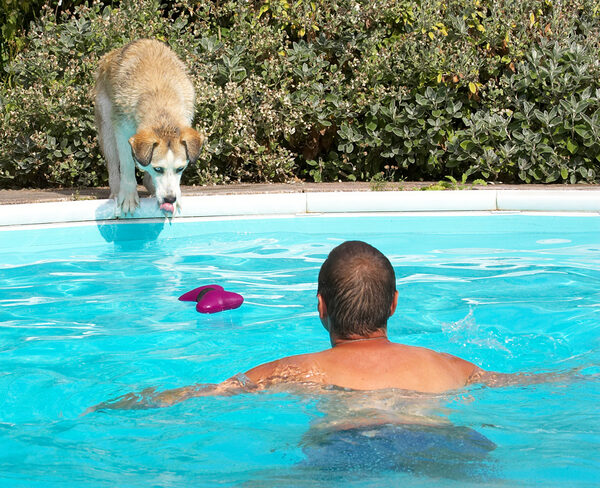 Hmmm, now how to I get that bone without getting wet