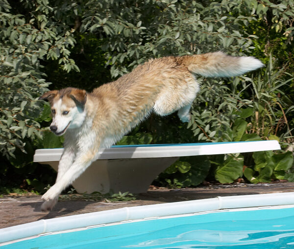 Well, they call this a diving board don't they?