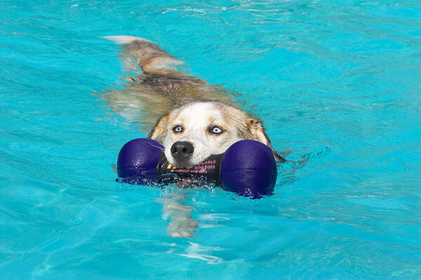 A leisurely swim is perfect in this weather