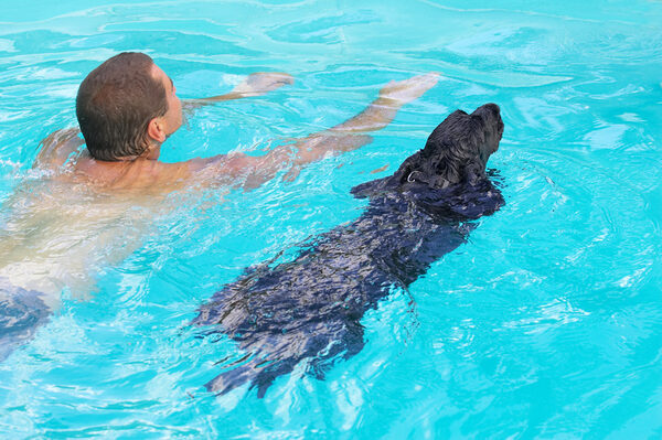 Synchronised swimming