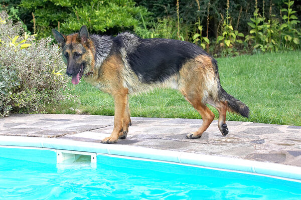 Wow, it's a big pool
