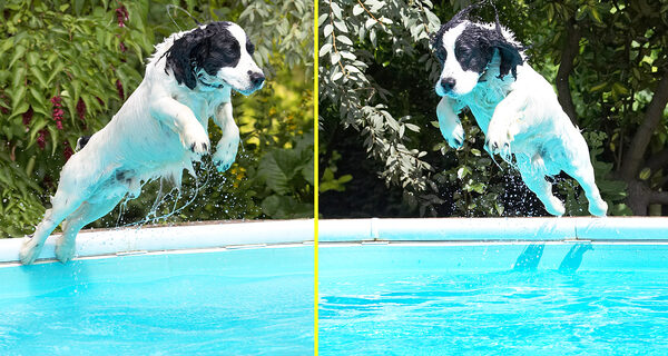 My perfect diving technique