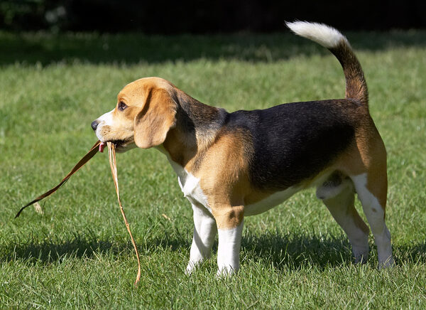 Look, I've found something else to play with..........