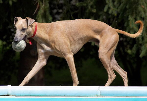 I'll just take this ball somewhere safe