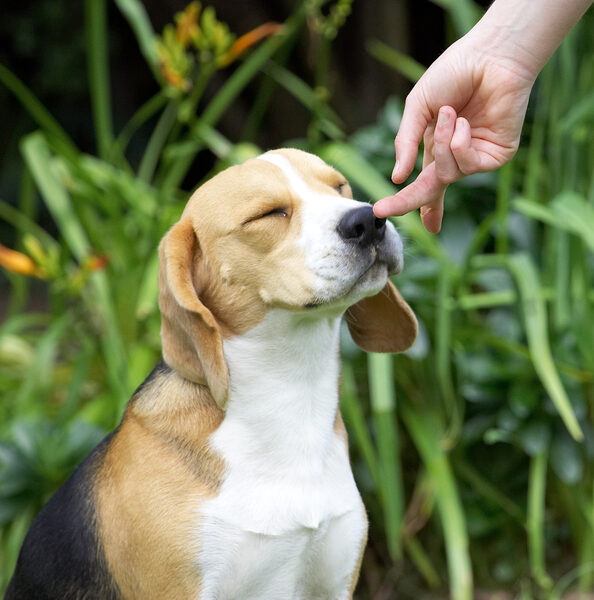 Ooh, that smells good