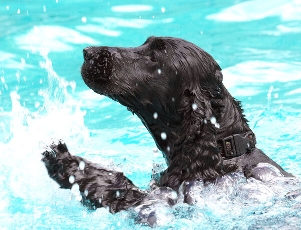 Boy, it's really a splashy way of swimming