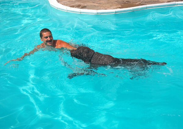 Sun and swimming: who need to go abroad for their holiday!