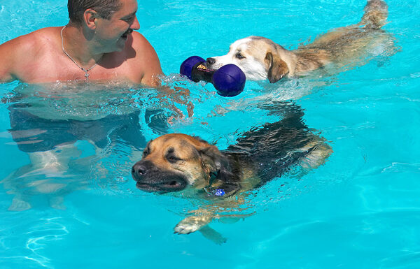I know, Ripley hasn't got the hang of swimming with a ball yet