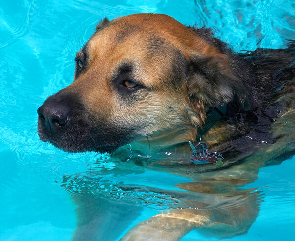 Hey, I'm just concentrating on keeping afloat