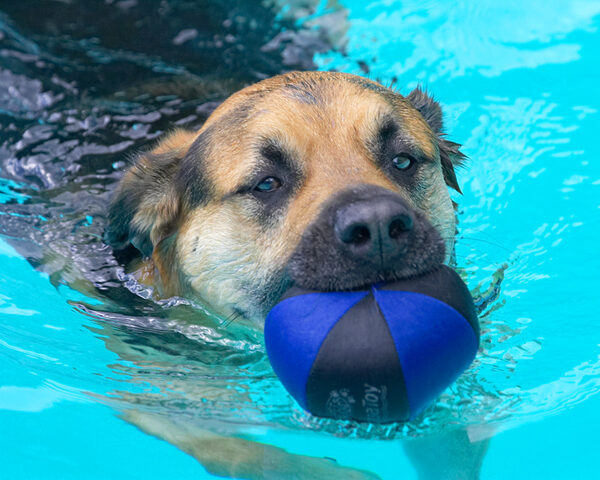 I got the ball