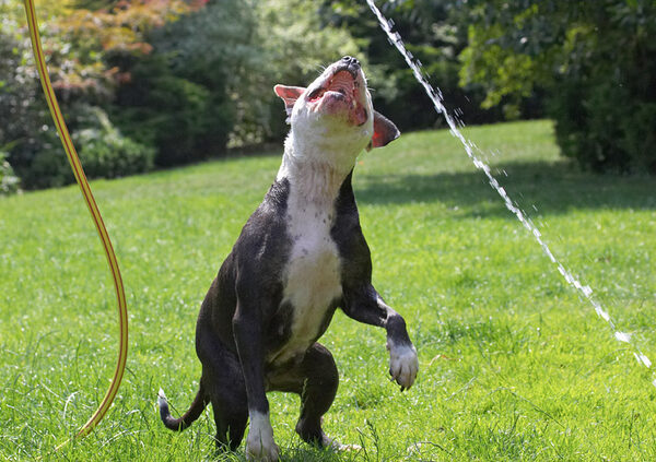 The lengths a girl has to go to get a drink of water!