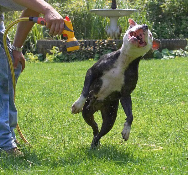 Look at me, the ballet dancer