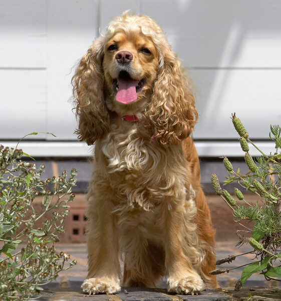 Butter wouldn't melt....................