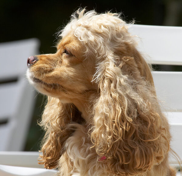 This is my best side!
