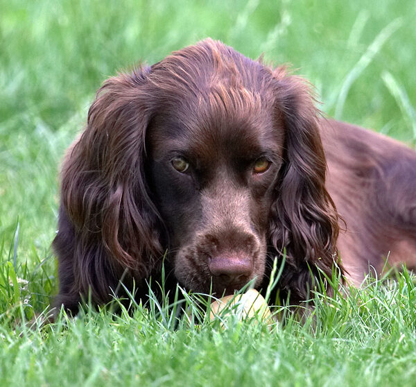 I'll just keep my eye on the ball