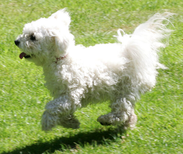Morgan Running