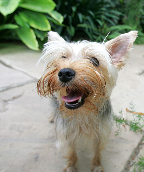 Layla - With A Big Smile