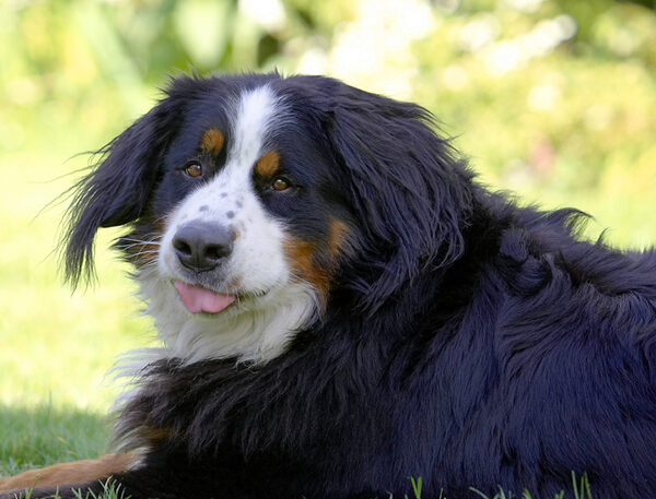 Hey, I'm just an ol' softie