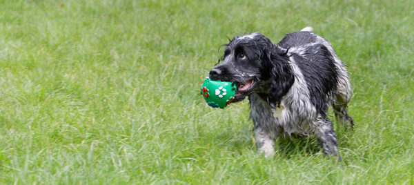 .......... a ball can be fun