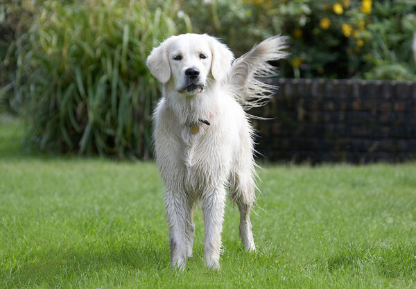 Wot I done now?