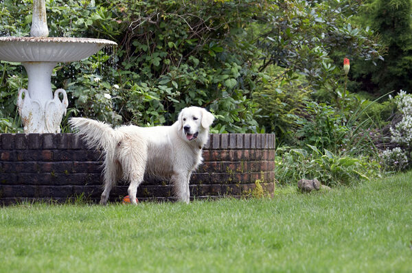 Jus' surveying my territory