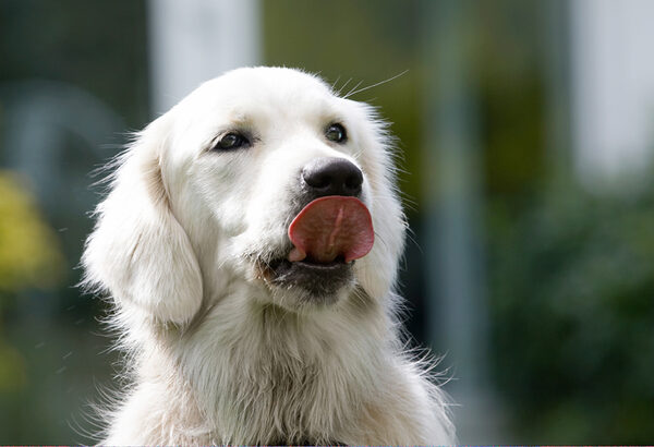 Yummmmmmmmmm