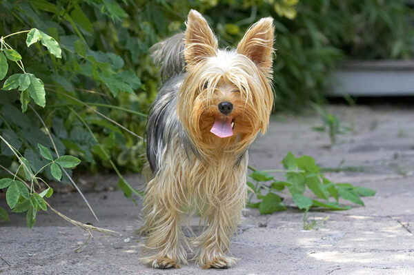 No, it's a very hot day and I'm gonna stand here in the shade