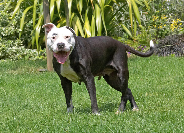 What a big smile