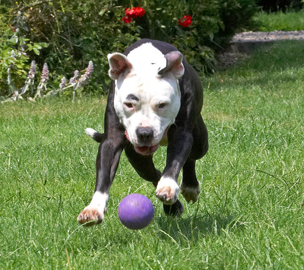 Look at this for ball focus