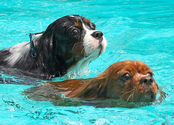 I'll follow Ruby; she looks like she knows where we're goin'