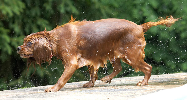 Look at me!  I'm soaking wet