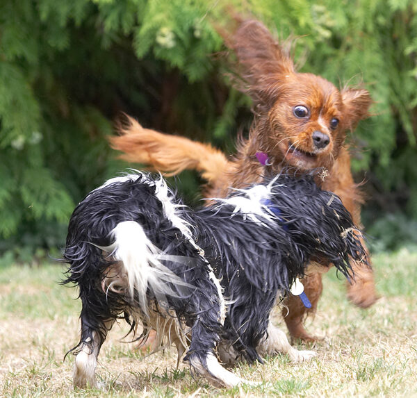 Playtime