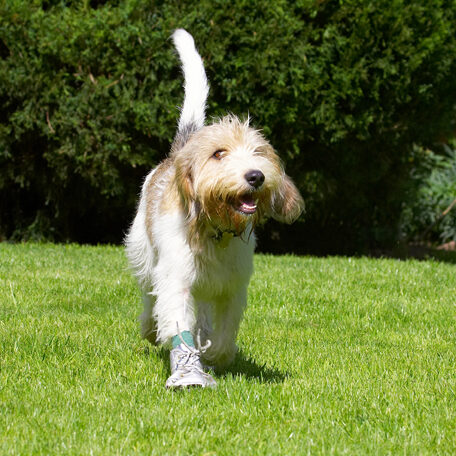 Best foot forward