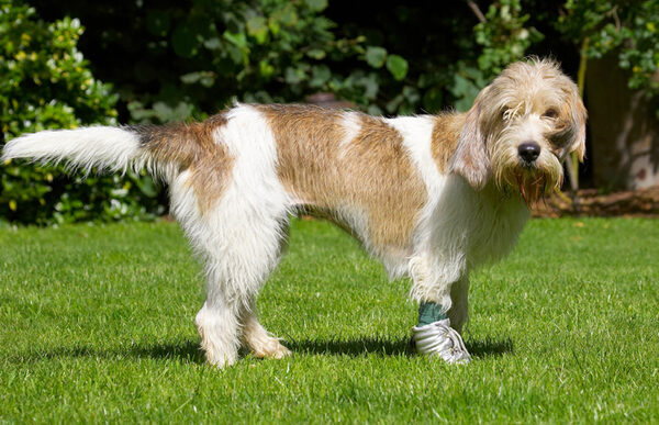 You called ...........