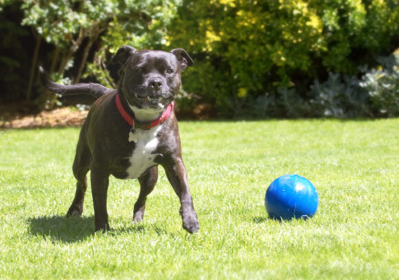 Where'd the ball go?