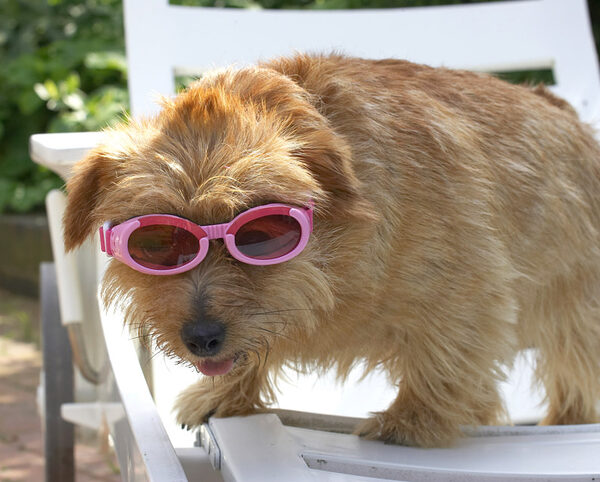 Wow, summer - time for some sunbathing