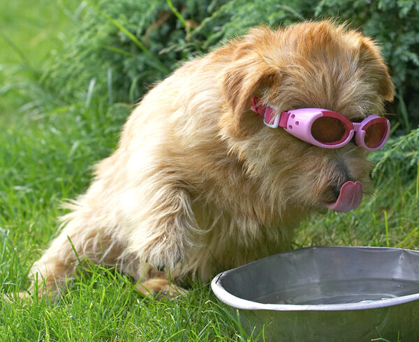 Wow, my tongue IS really pink!