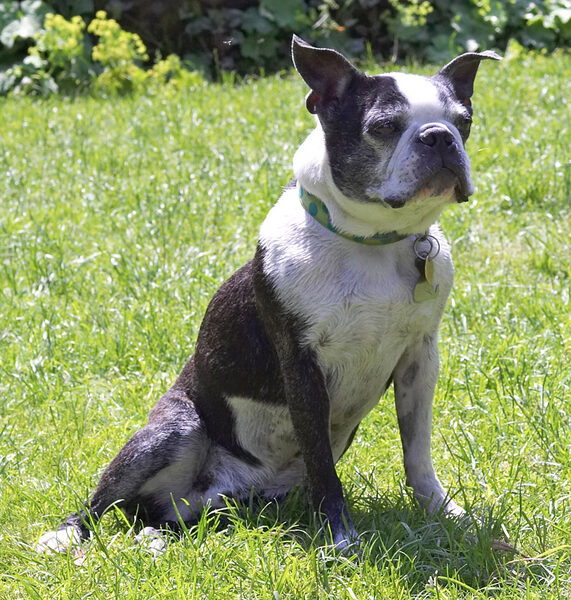 My regal pose