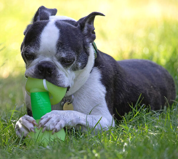 Mmmmmmmmmm that tastes good - I know where it's been!!