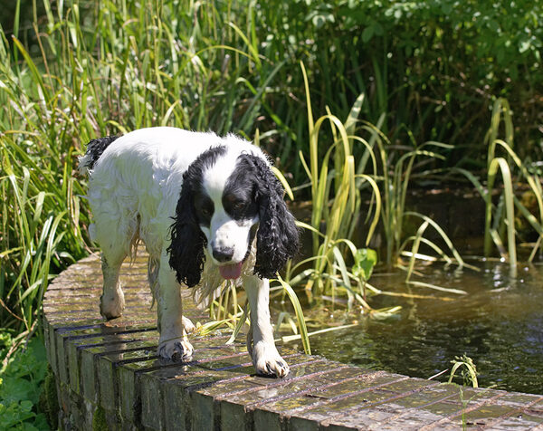 I'll stand here until I dry off