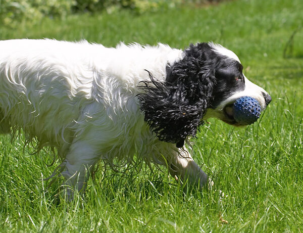 And now back to the job of running down the ball