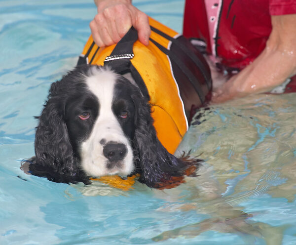 Is this swimming supposed to be fun...........