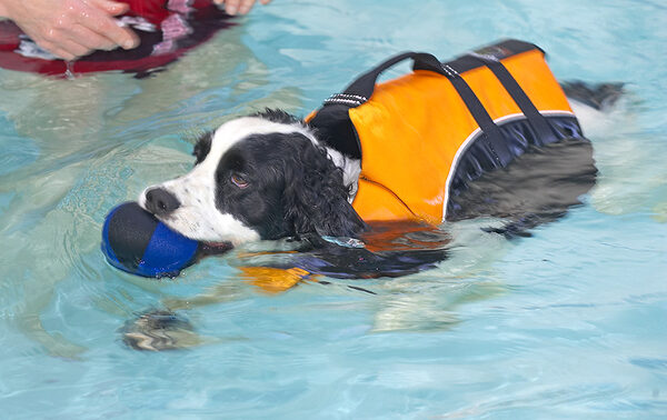 Who says males can't multi task - swimming unaided AND catching the ball